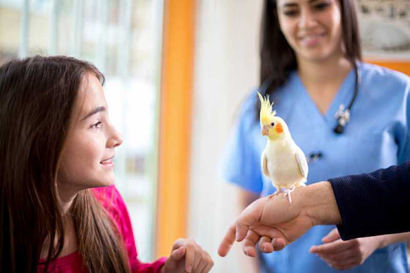Anestesiologia para Pássaros Clínica Chácara do Conde - Anestesiologia para Animais Silvestres