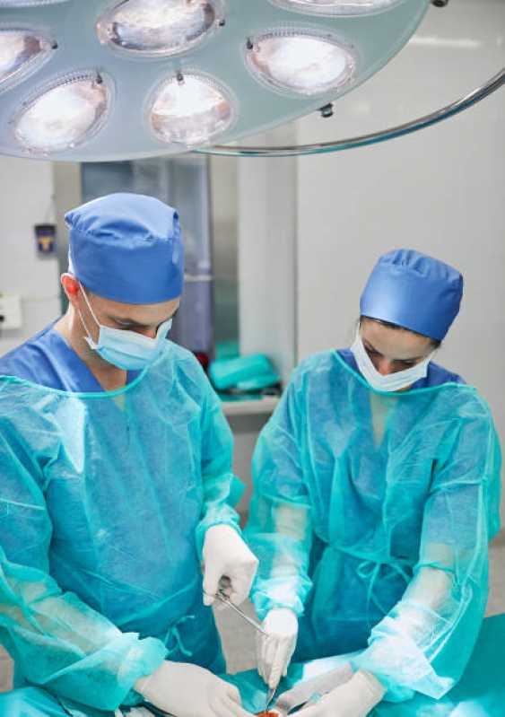 Atendimento Cirúrgico Animais Silvestres Grande Jucu - Atendimento Cirúrgico Veterinário 24h