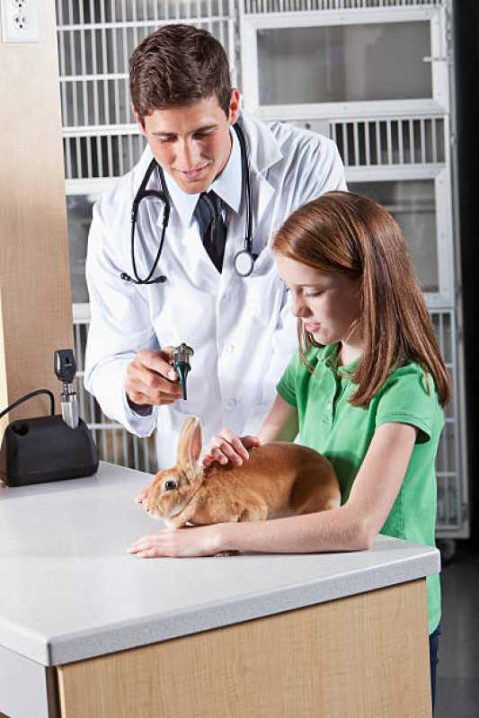 Clínica Especializada Atendimento Emergencial para Animais Exóticos Araçás - Atendimento Emergencial para Animais Silvestres
