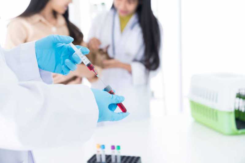 Clínica Especializada em Exame de Imagem para Animais Exóticos Carapebus - Exames Laboratoriais Veterinários