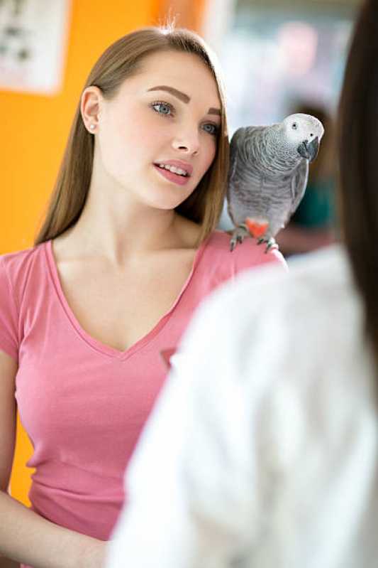 Consulta para Animais Marcar Alto Laje - Consulta para Pássaros