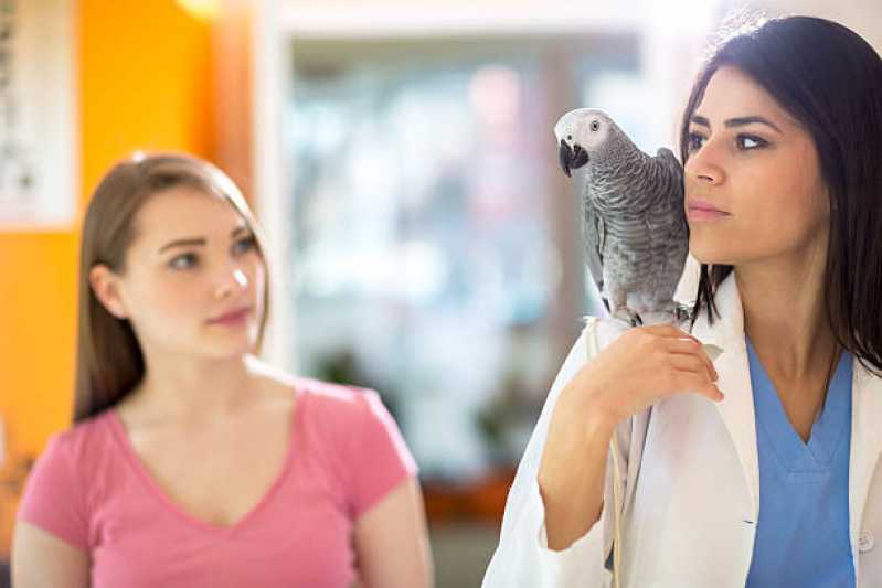 Consulta para Animais Cidade Pomar - Consulta para Pássaros