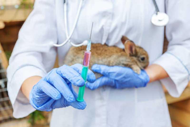 Exames Laboratoriais para Animais Silvestres Vila Velha - Exame para Animais Silvestres Vitória