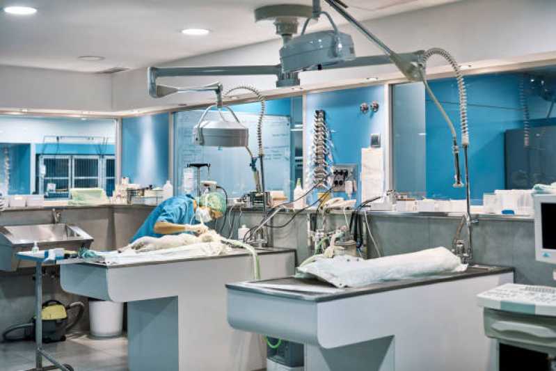 Onde Agendar Atendimento Cirúrgico Veterinário Vila Nova - Atendimento Cirúrgico para Tartarugas