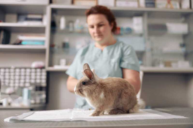 Onde Fazer Exames Laboratoriais para Animais Silvestres Mata da Serra - Exames Laboratoriais Veterinários