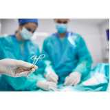 atendimento cirúrgico animais silvestres clínica Colatina