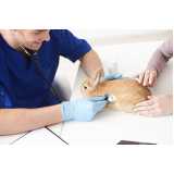atendimento clínico para animais exóticos clínica Alvorada