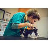 clínica especializada em exames laboratoriais para animais exóticos Bonfim