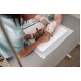 clínica especializada em exames laboratoriais para animais silvestres Belvedere