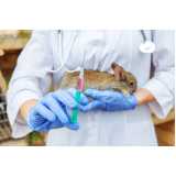 exames laboratoriais para animais silvestres Linhares