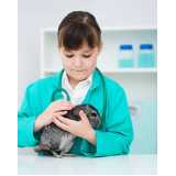 odontologia para coelhos de estimação clínica Serra Centro
