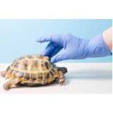 onde agendar consulta de orientação para tartarugas Bonfim